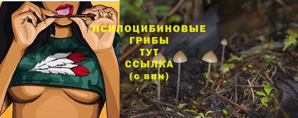 MDMA Елизово